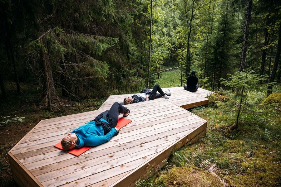 Lahden terveysmetsässä aivojumpparata, metsäjoogaa ja metsäretkiä